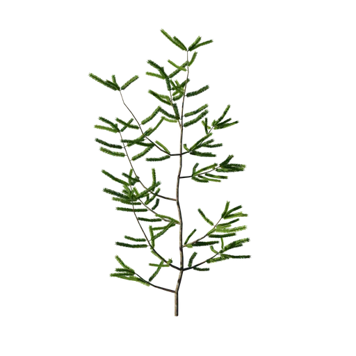 Detailed evergreen shrub 3D render for Blender environmental design