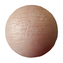 Human Skin