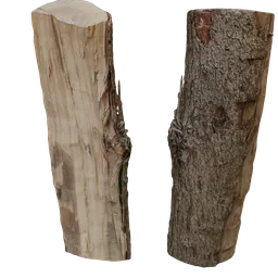 Realistic 3D trunk model with detailed bark texture, suitable for Blender rendering and CGI projects.