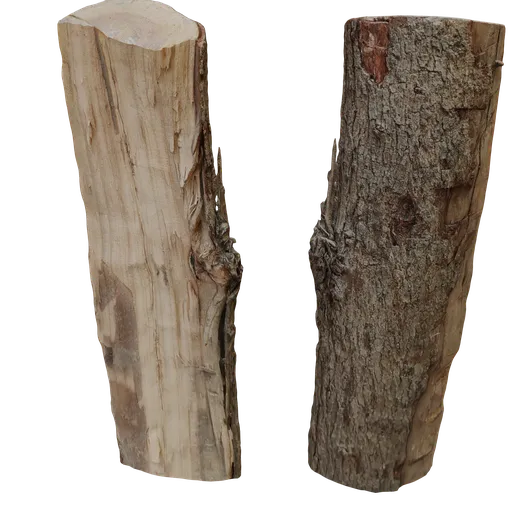 Realistic 3D trunk model with detailed bark texture, suitable for Blender rendering and CGI projects.