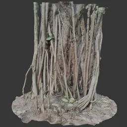 Banyan Tree Trunk with Roots
