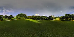 Green grass at night