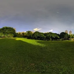Green grass at night