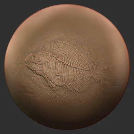 ER_Fossil Brush- fish