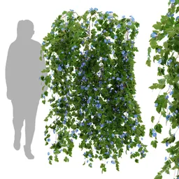 flower hanging wall plant
