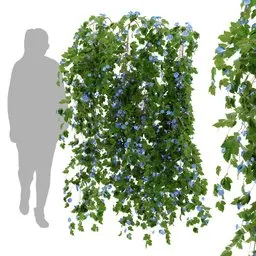 flower hanging wall plant
