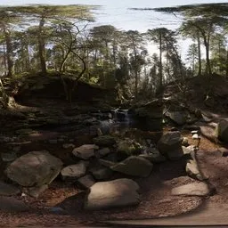 Monbachtal Riverbank