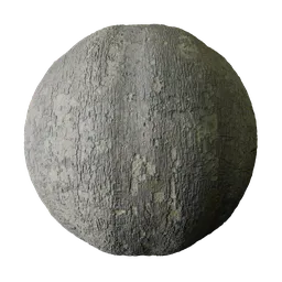 Lichen Flecked Ashoka Bark