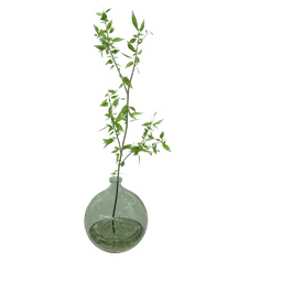 Glass jug vegetation