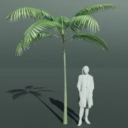 Tropical Palm Tree Small