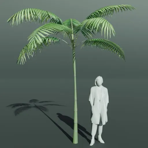 Tropical Palm Tree Small