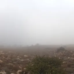 Kloofendal Misty Morning