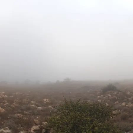 Kloofendal Misty Morning