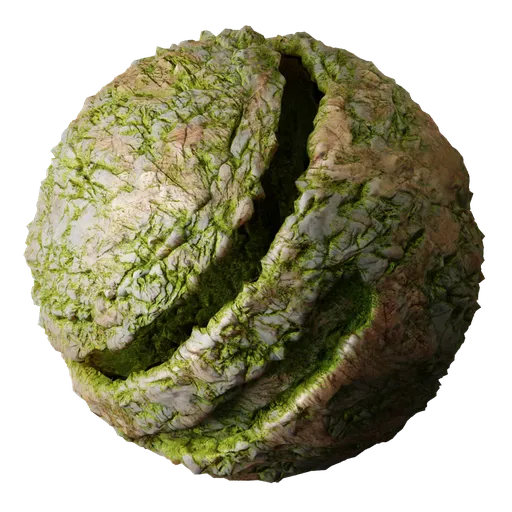 Sandstone Rock Moss
