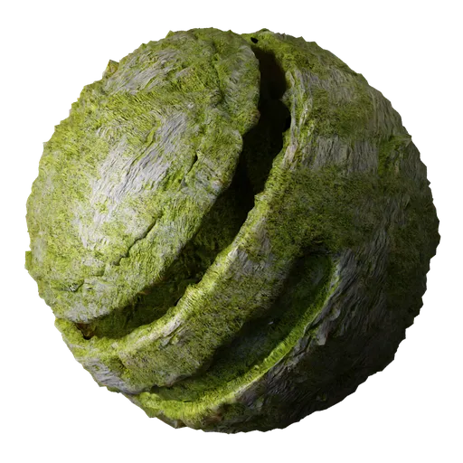 Volcanic Rock Moss