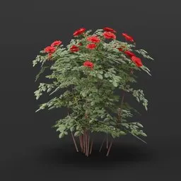 Realistic 3D rose bush model with color-change node for Blender, ideal for game assets and virtual landscaping.