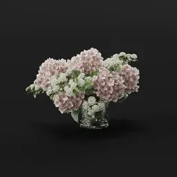 Hydrangea