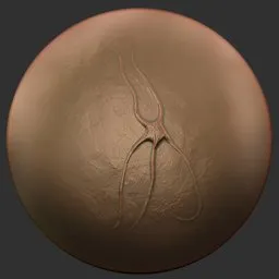 ER Fossil Brush-Starfish