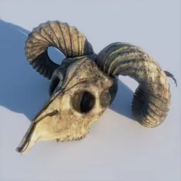 "3D model of a ram head skull with curved horns, textured sheep wool and inspired by Nicolas Toussaint Charlet for Blender 3D. Perfect for concept art and RPG game inventory. Rendered in Unreal Engine 5 with thin DOF for a realistic effect."