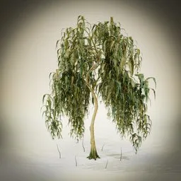 Stylized small tree
