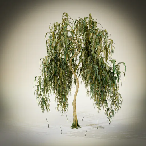 Stylized small tree