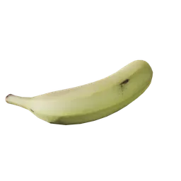 Musa paradisiaca