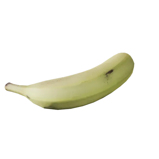 Musa paradisiaca