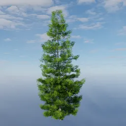 Evergreen Mid-Poly Tree