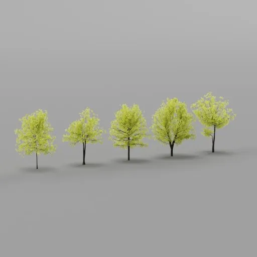 MappleTree