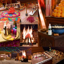 Holi lohri or makkarsakranti  IN festive