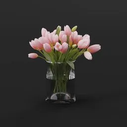 Pink Tulip