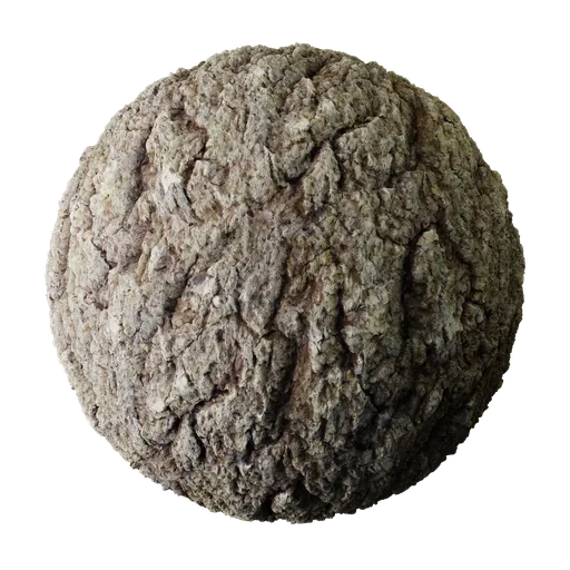 Tree Bark