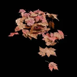Realistic Autumn Leaf Ground Scatter