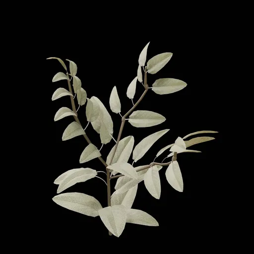 Outdoor Shrub