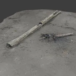 Drift Wood Beach Photoscan