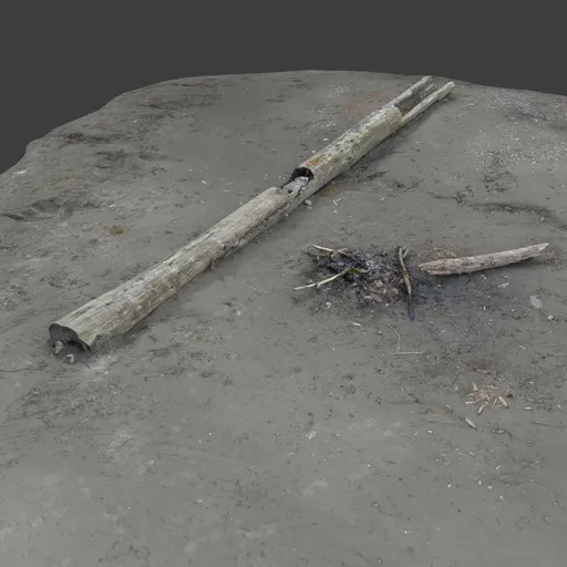 Drift Wood Beach Photoscan