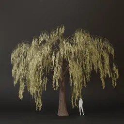 SJ-Natural Elegance Flow