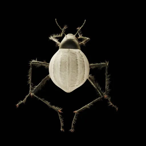 Realistic Bug