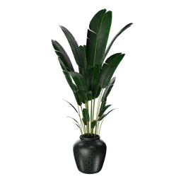 "Realistic Arefed plant in a black vase, optimized for Blender 3D. Detailed model with attractive lighting, ideal for indoor nature scenes. Carbon fibers and palm body highlight the intrinsic design of this 3D model."