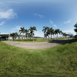 Daytime Sunshine Meadow 16k