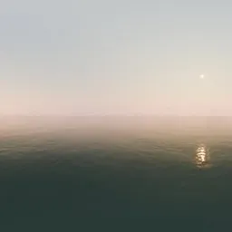 Vibrant Midday Sun