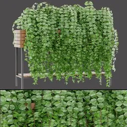 Trailing Green Foliage Planter