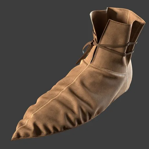 Shoe
