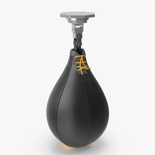 Speed Bag