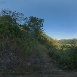 Afternoon Hill Road 17k