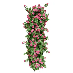 Climbing Roses Pink