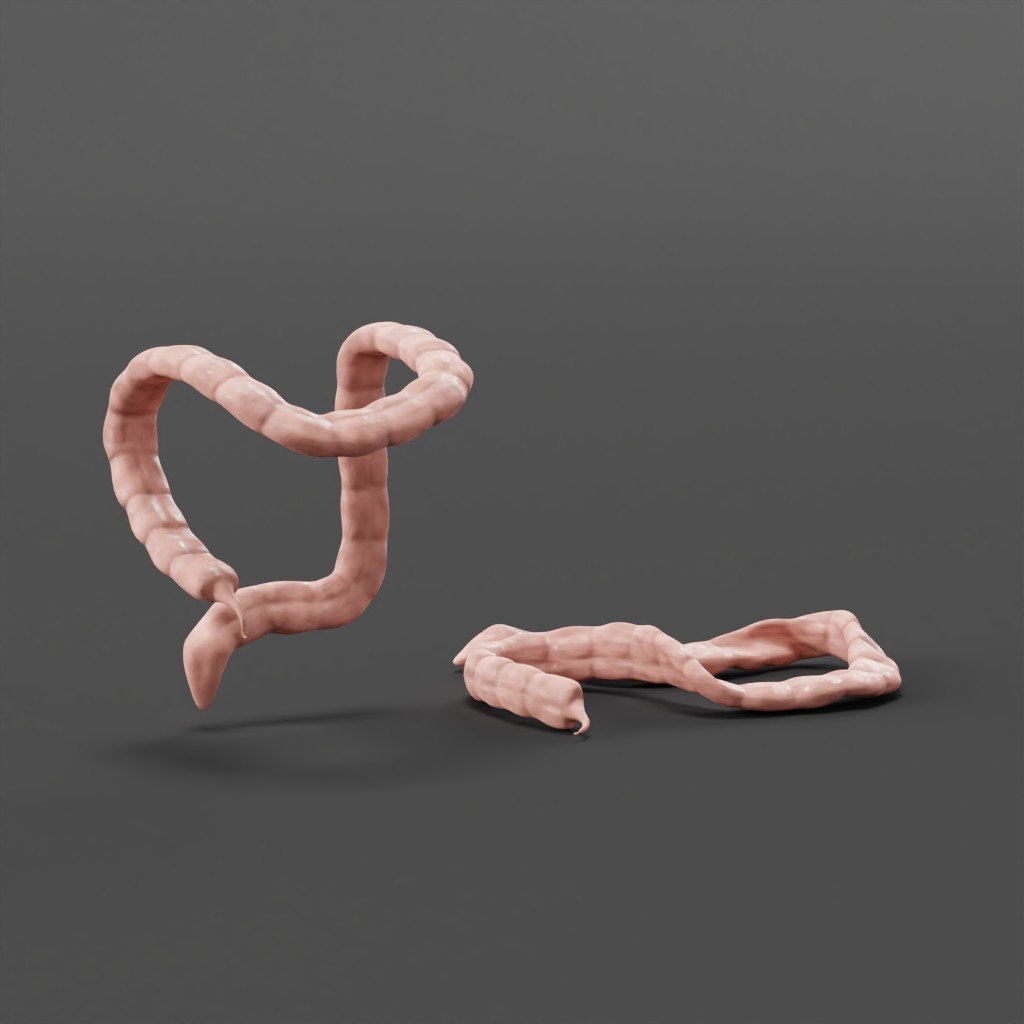 Exposed Large Intestine | Internal Organs Models | BlenderKit