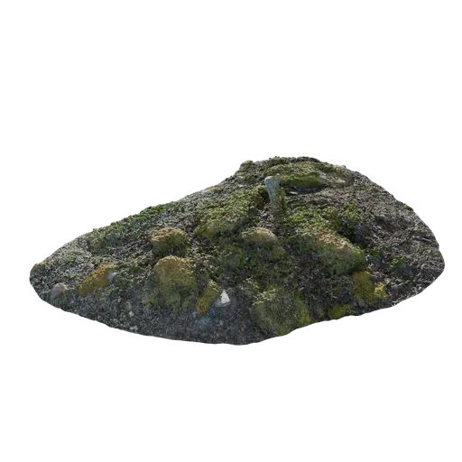 Mossy Rock