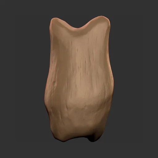 Carnivore Predator Tooth