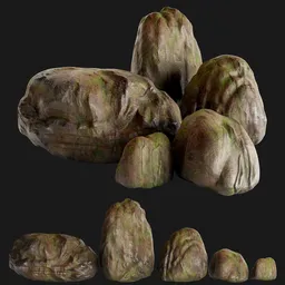 Mossy Jungle Rock Collection